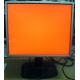 Монитор 19" TFT HP 1955 (DVI в Арзамасе, USB-хаб) "квадратный" (Арзамас)