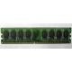Модуль оперативной памяти 4096Mb DDR2 Patriot PSD24G8002 pc-6400 (800MHz)  (Арзамас)