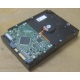 Жесткий диск HP 250Gb 7200 rpm 432337-001/ 399699-001 / 397377-004 (Арзамас)