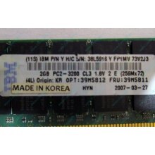 IBM 39M5811 39M5812 2Gb (2048Mb) DDR2 ECC Reg memory (Арзамас)