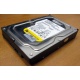 Жесткий диск 160Gb WD WD1602ABKS SATA (Арзамас)