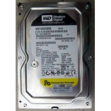 Жесткий диск 160Gb WD WD1602ABKS SATA (Арзамас)