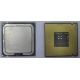 Процессор Intel Celeron D 336 (2.8GHz /256kb /533MHz) SL98W s.775 (Арзамас)