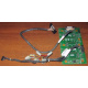 Корзина 59P5159 24P2578 IBM X225 / X226 / X235 / X255 / X266 xSeries servers FRU59P5159 FRU24P2578 (Арзамас)