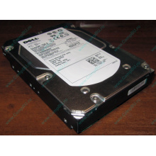 Жесткий диск 300Gb 15k Dell 9CH066-050 6G SAS (Seagate Cheetach ST3300656SS 15K.6) - Арзамас